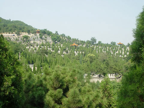 温泉墓园