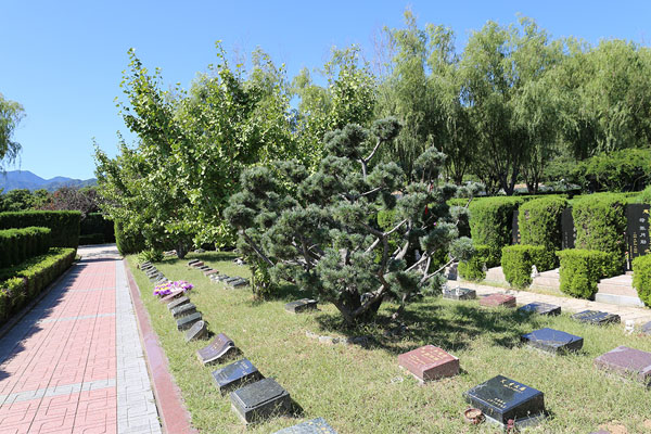山京沟纪念林:最早的树葬陵园,采用认领树木,自建墓地的方式,价格一般