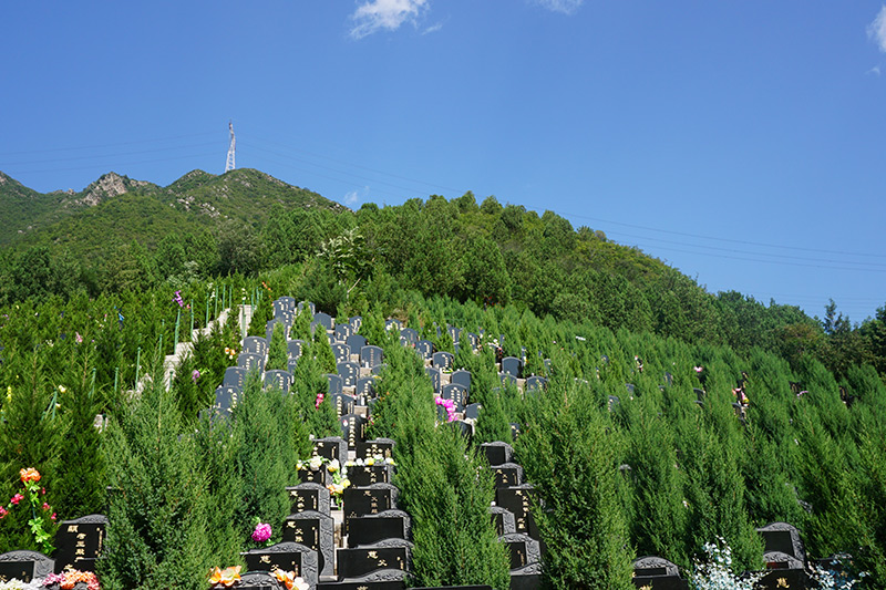 周末可以去延庆的陵园选墓吗(延庆陵园电话是多少)